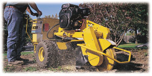 sc252actionweb72dpi.jpg